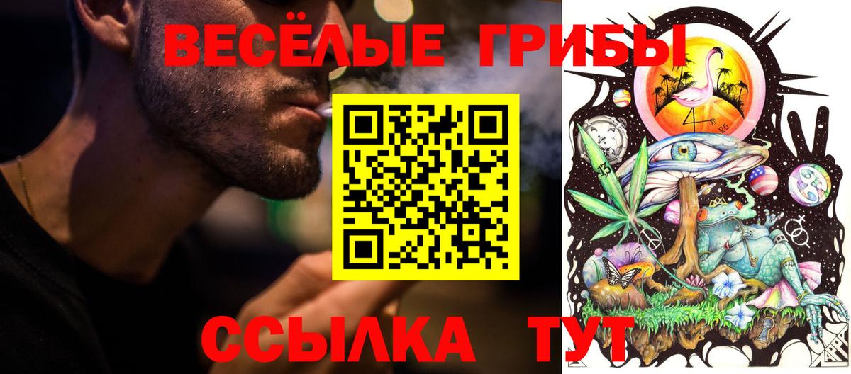 Псилоцибиновые грибы Magic Shrooms Тверь